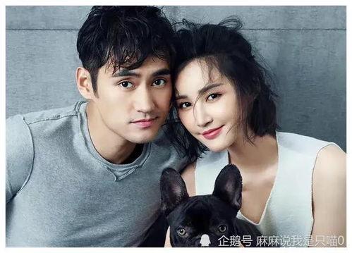 最新娱乐圈吃瓜小说推荐